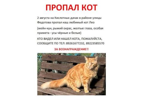 ПРОПАЛ КОТ
