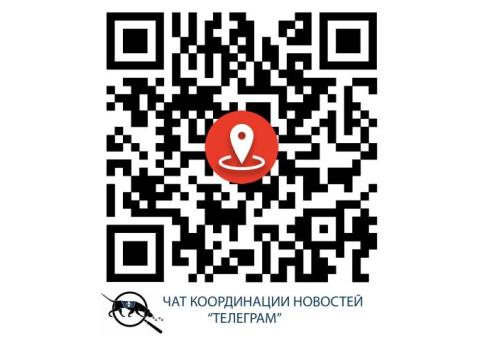 Дворняжка пропала в Клинском районе, село Троицкое, село Петровское