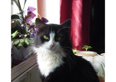 черно-белая