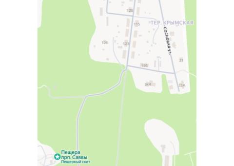 Кот, порода русская голубая; Звенигород у источников Успенкого Собора