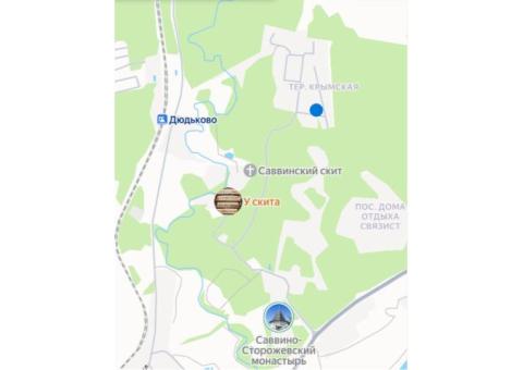 Кот, порода русская голубая; Звенигород у источников Успенкого Собора