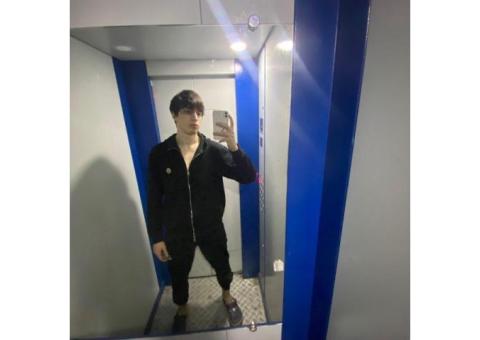 пропала собака