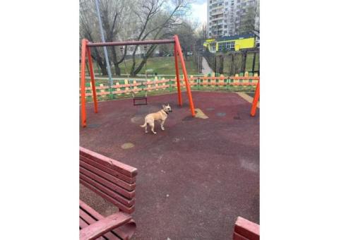 Р-н Царицыно